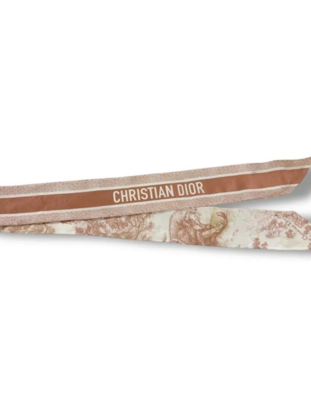 Dior Mizza Toile de Jouy Sauvage Scarf